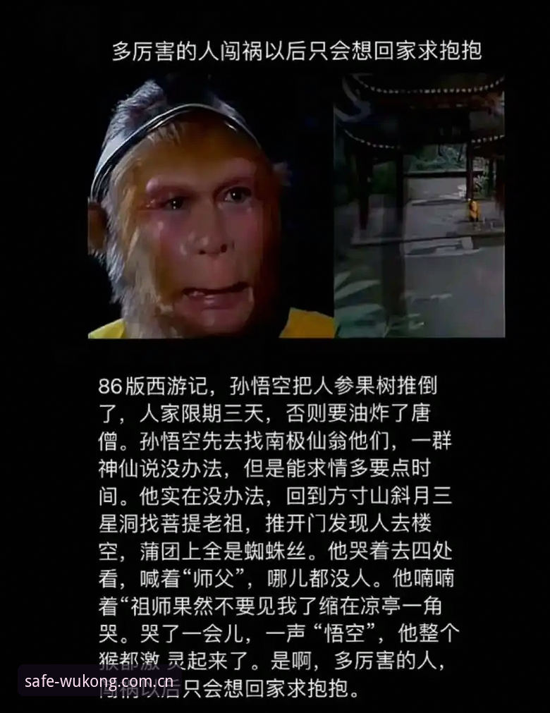 为什么说悟空体育安装教程是解锁全平台体验的关键一步？